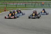 DSC_0538 (2)